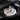 Tooth Signet Ring