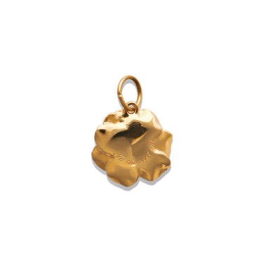In The Next One Carnation Charm