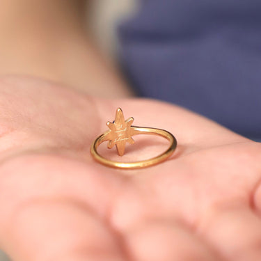 Satellite Ring
