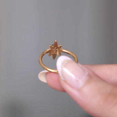 Satellite Ring